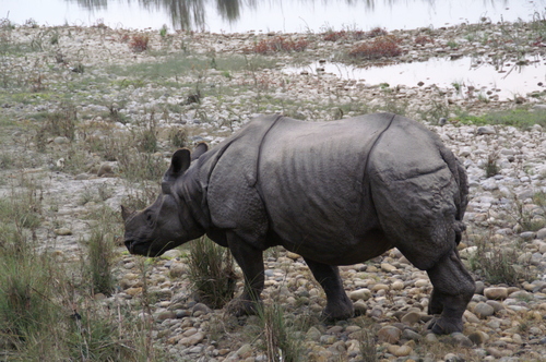2005_nepaltrip_034